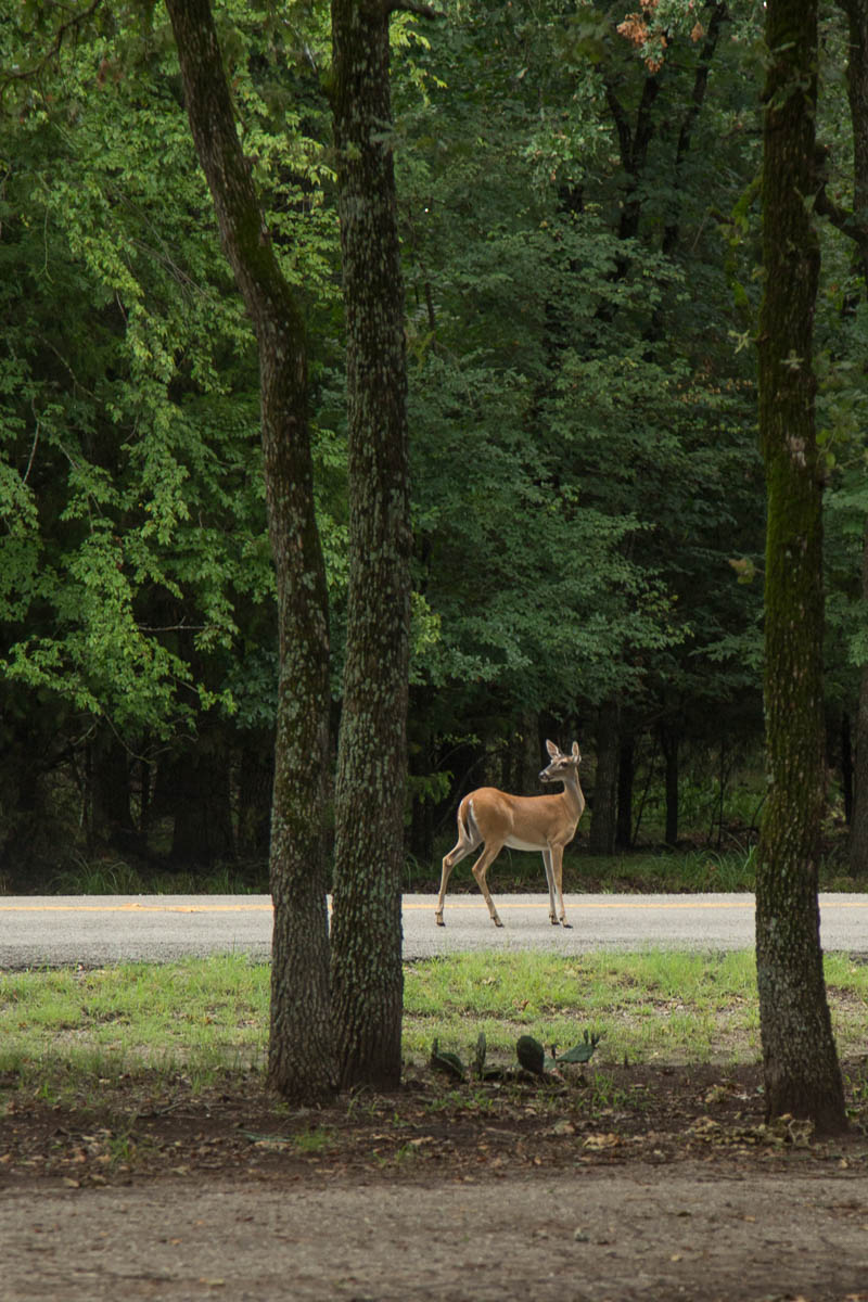 Wind Point Park-2380