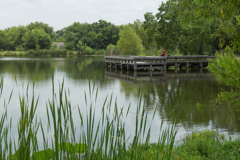 Sulpher Springs-2608