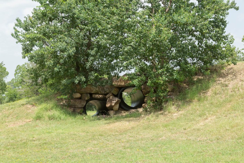 Sulpher Springs-2635