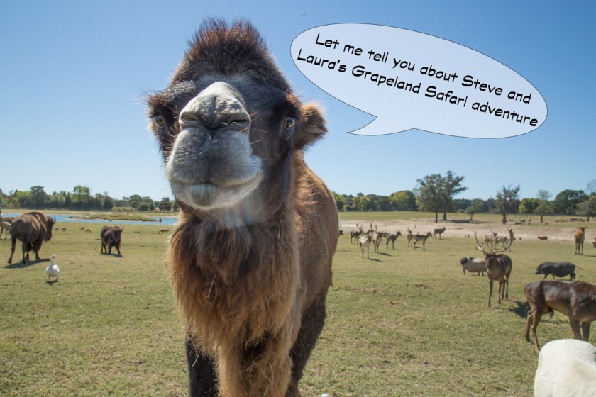 Grapeland Safari-3460-Edit-1