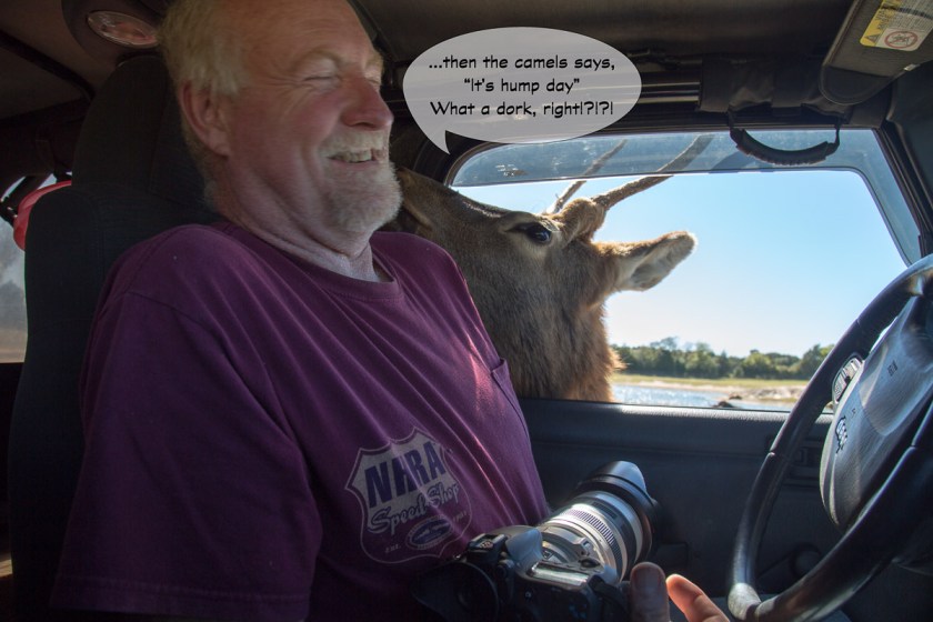 Grapeland Safari-3554-Edit