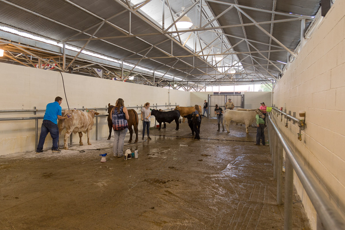 Texas State Fair-2859