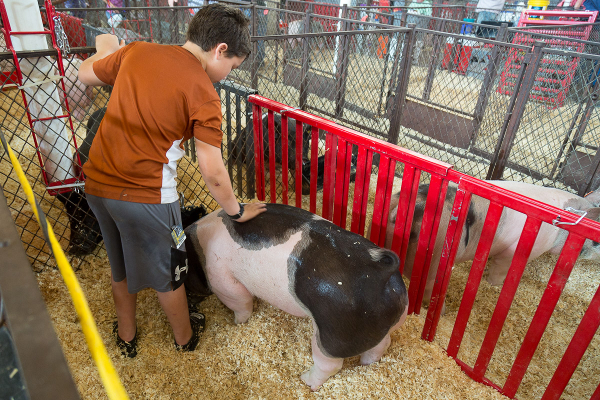 Texas State Fair-2878