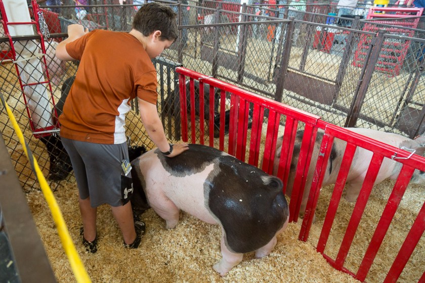 Texas State Fair-2878