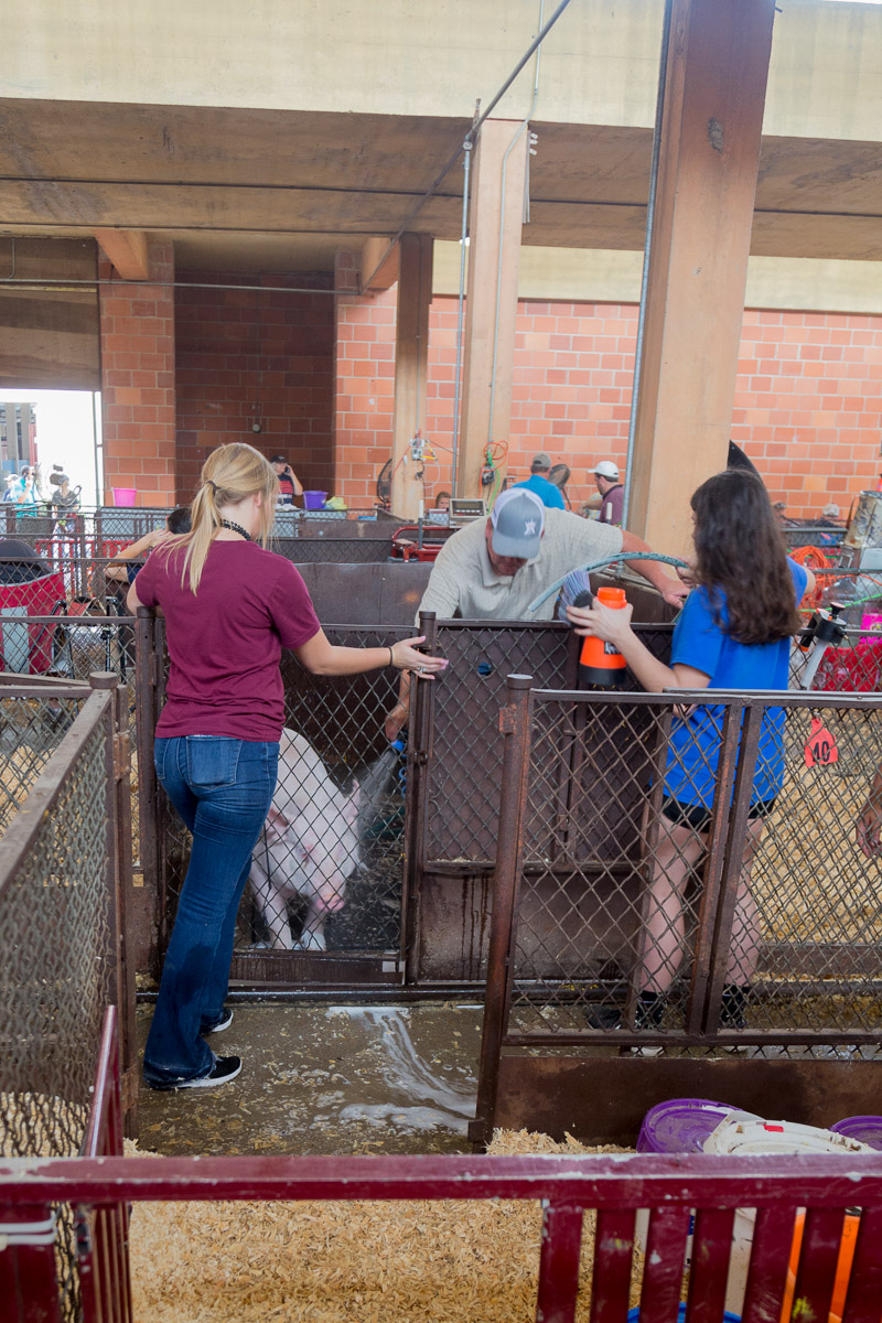 Texas State Fair-2879