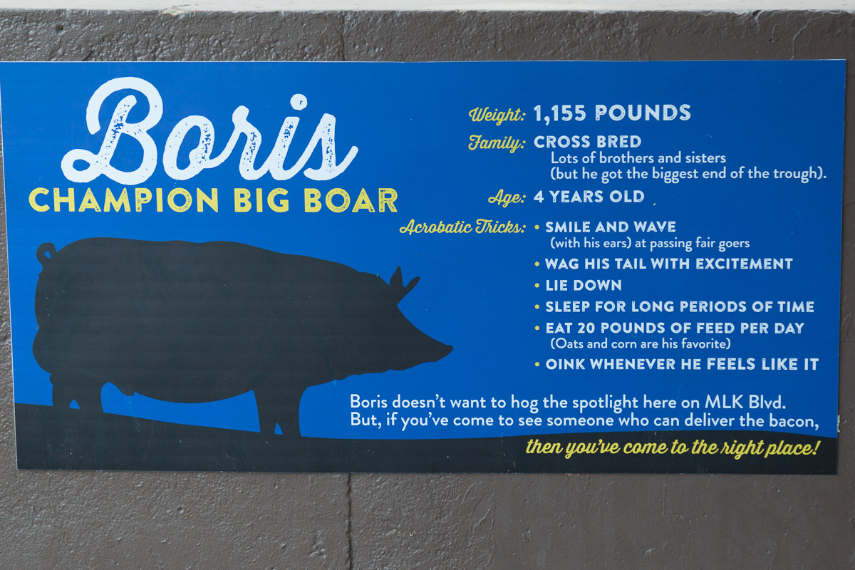 Texas State Fair-2883