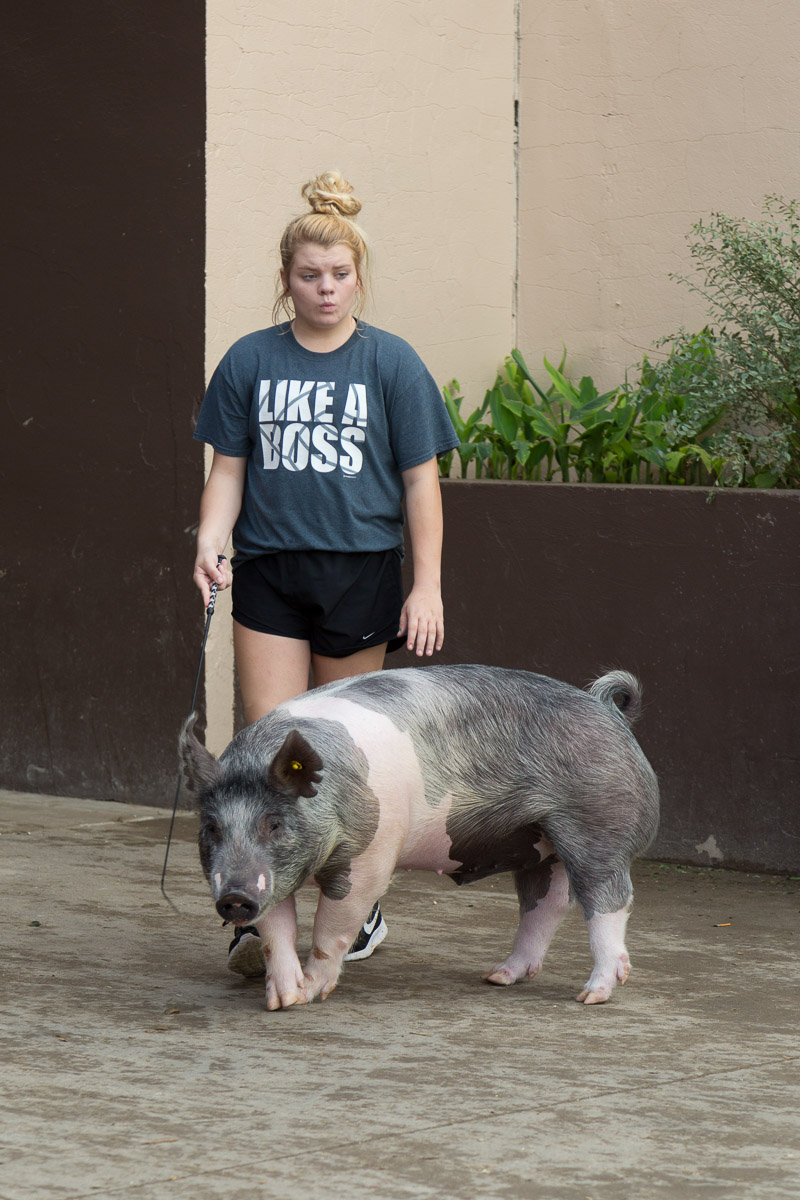 Texas State Fair-2890