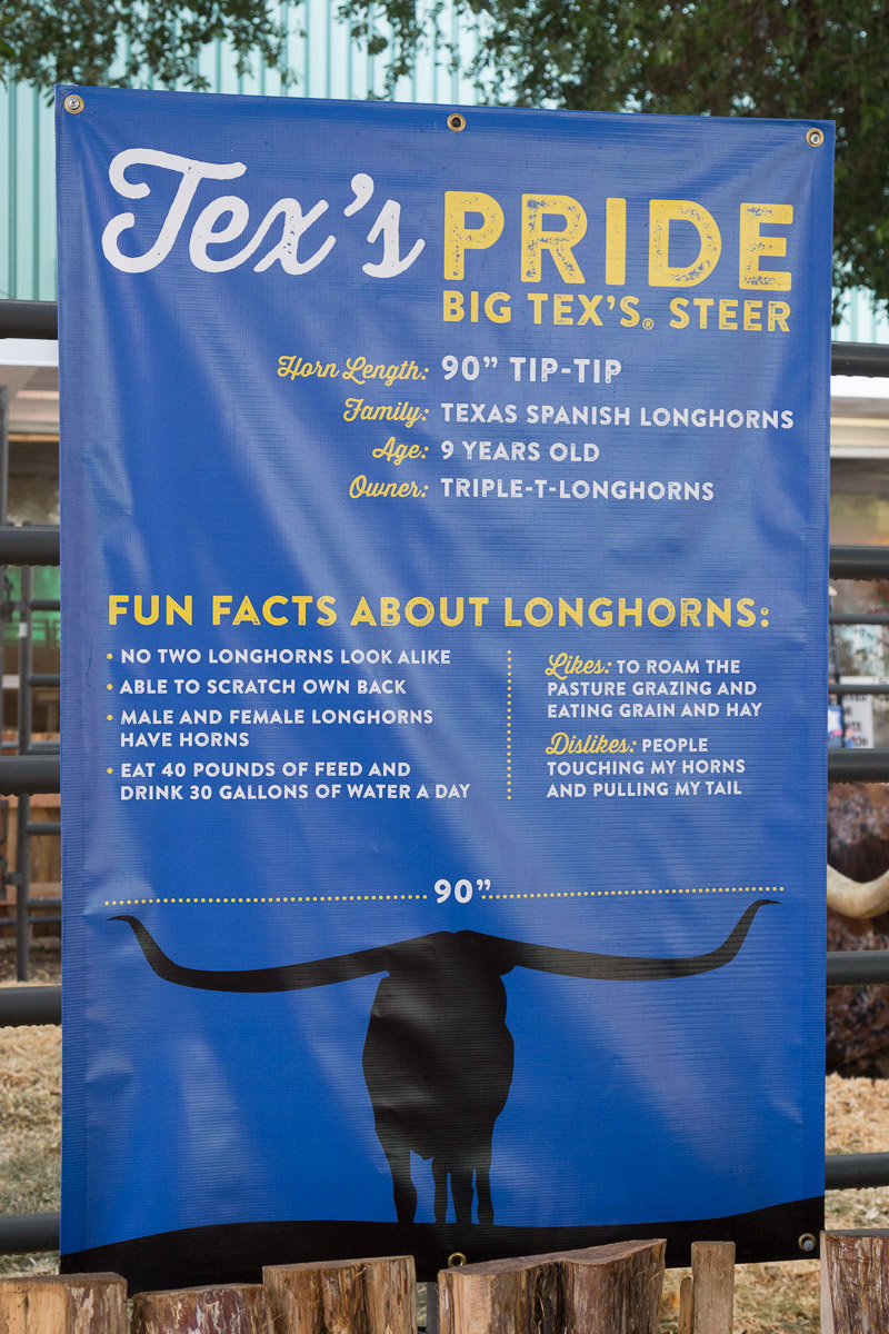 Texas State Fair-2910