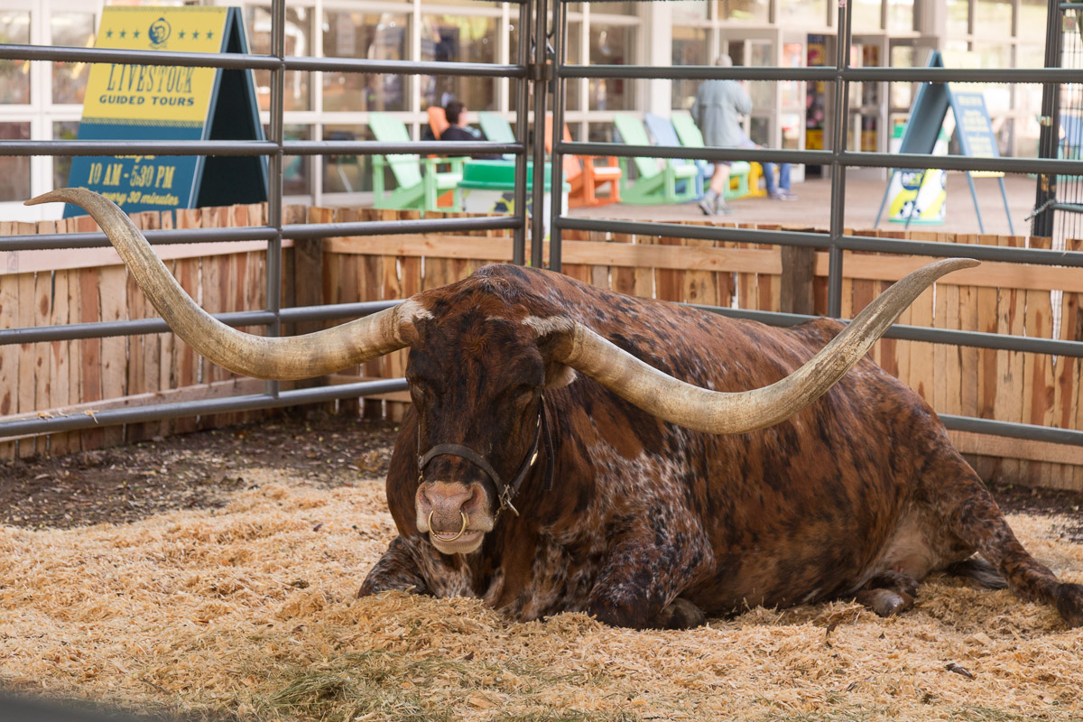Texas State Fair-2916