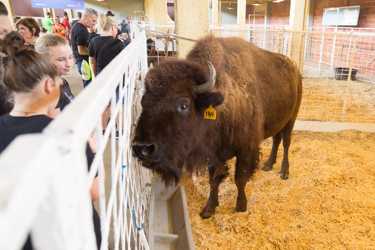 Texas State Fair-2949