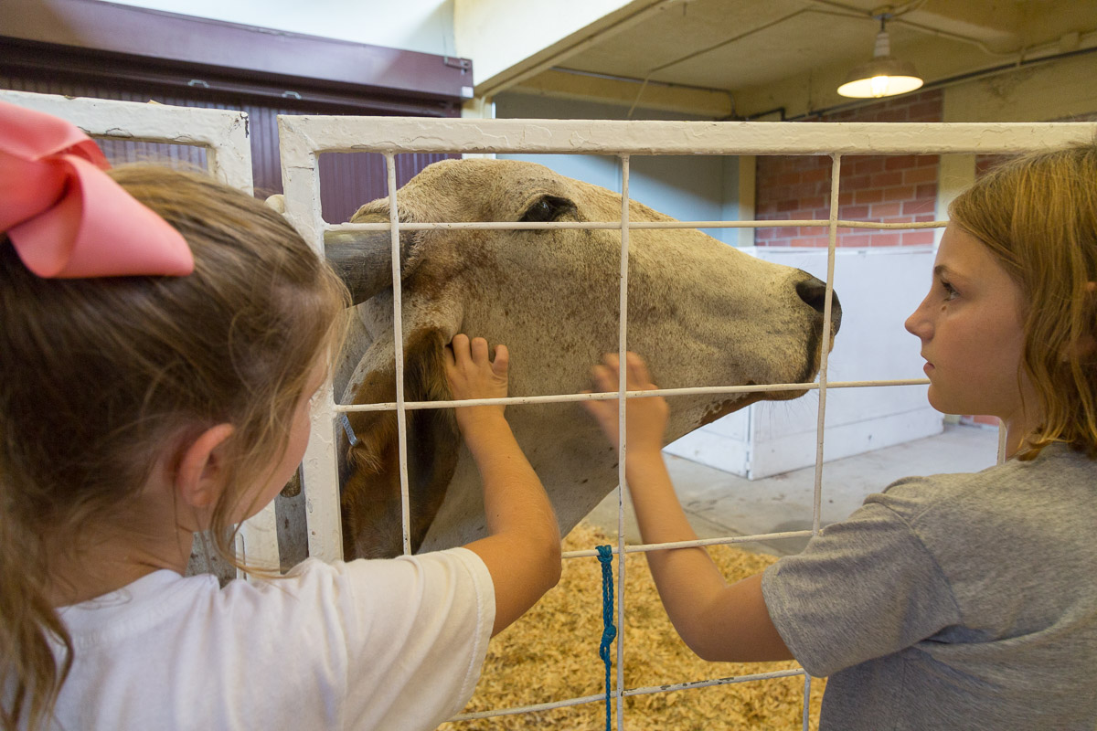 Texas State Fair-2968