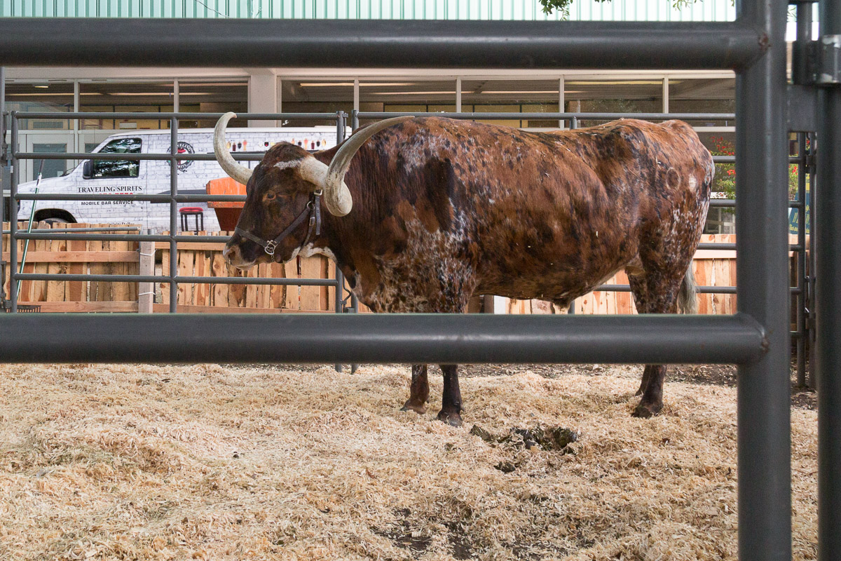 Texas State Fair-3379