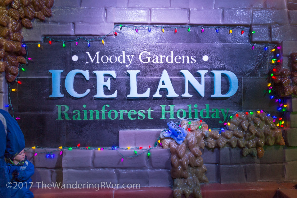 Moody Gardens-4209
