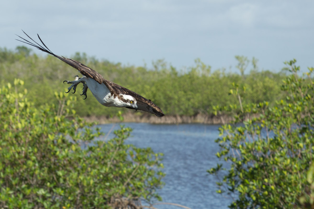 10K Islands NWR-4999