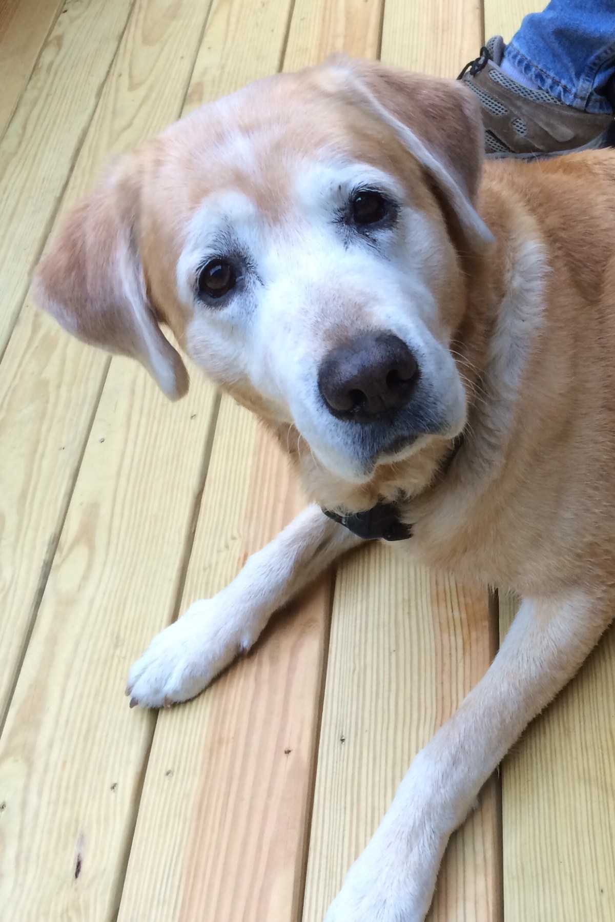 I’ve Had A&nbsp;Ball