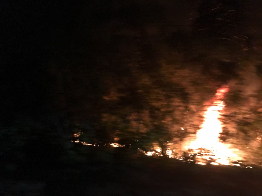 Key West iPhone-2-14