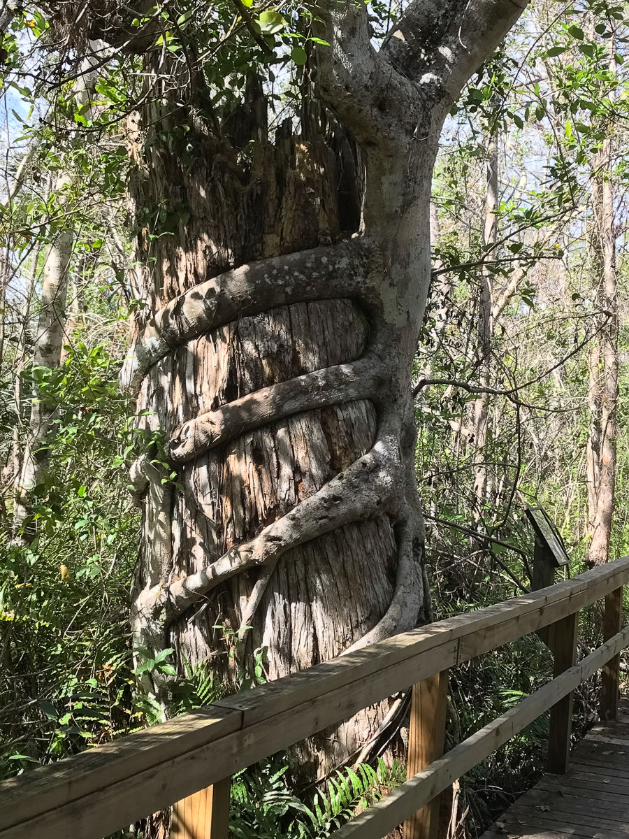 Key West iPhone-2-33