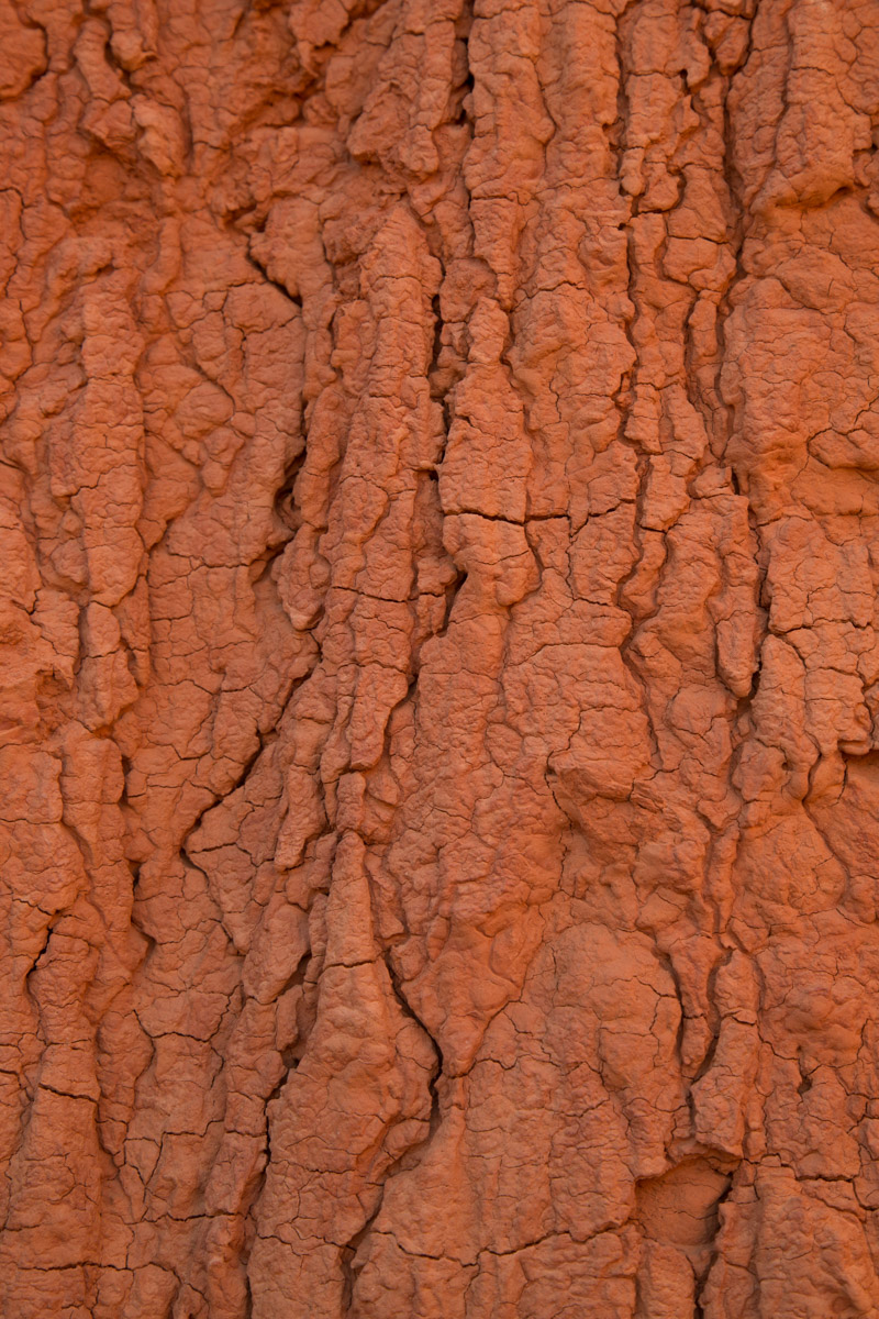 Palo Dura Canyon-6079