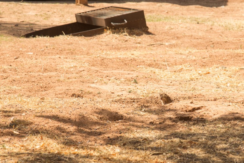 Palo Dura Canyon-6106