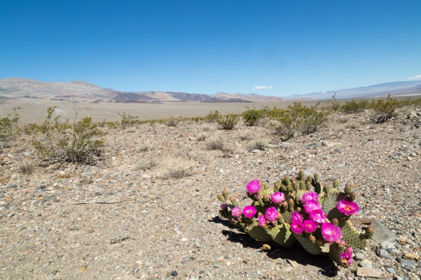 Death Valley-6484