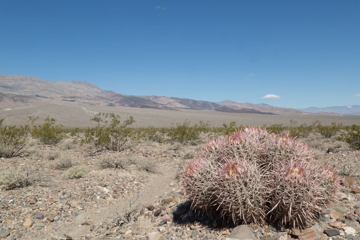 Death Valley-6489