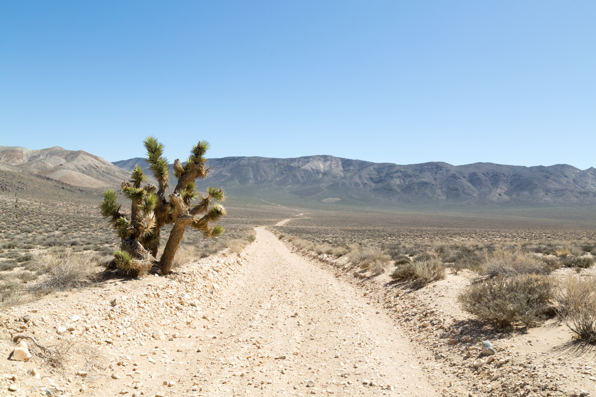 Death Valley-6555
