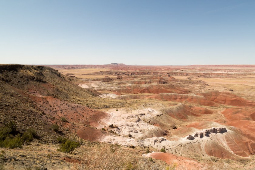 Petrified Forest NP-6130