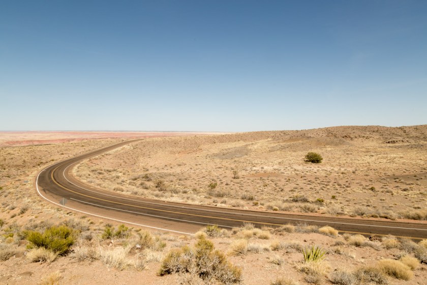 Petrified Forest NP-6136