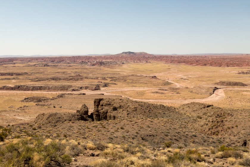 Petrified Forest NP-6137