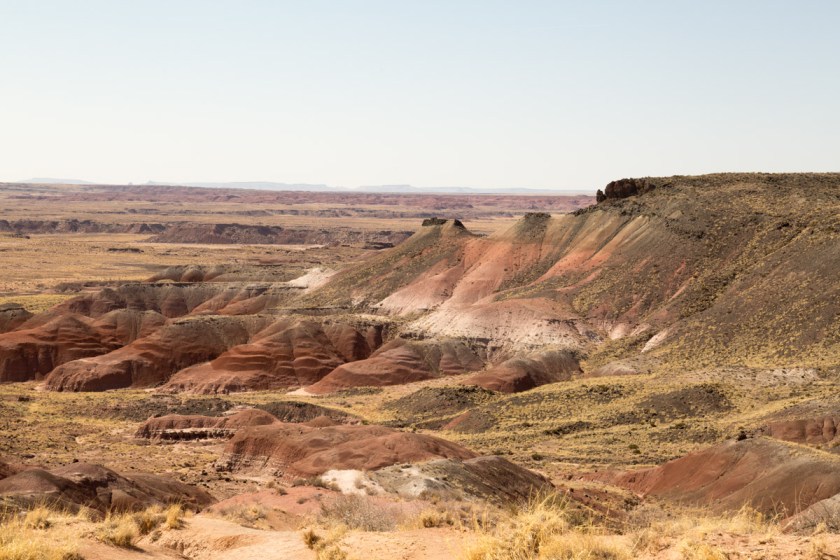 Petrified Forest NP-6141