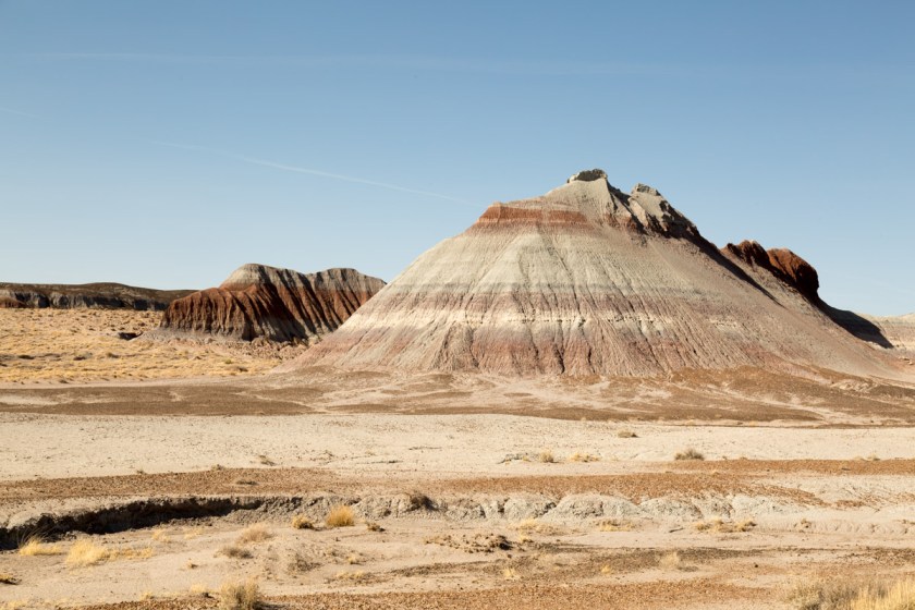 Petrified Forest NP-6150