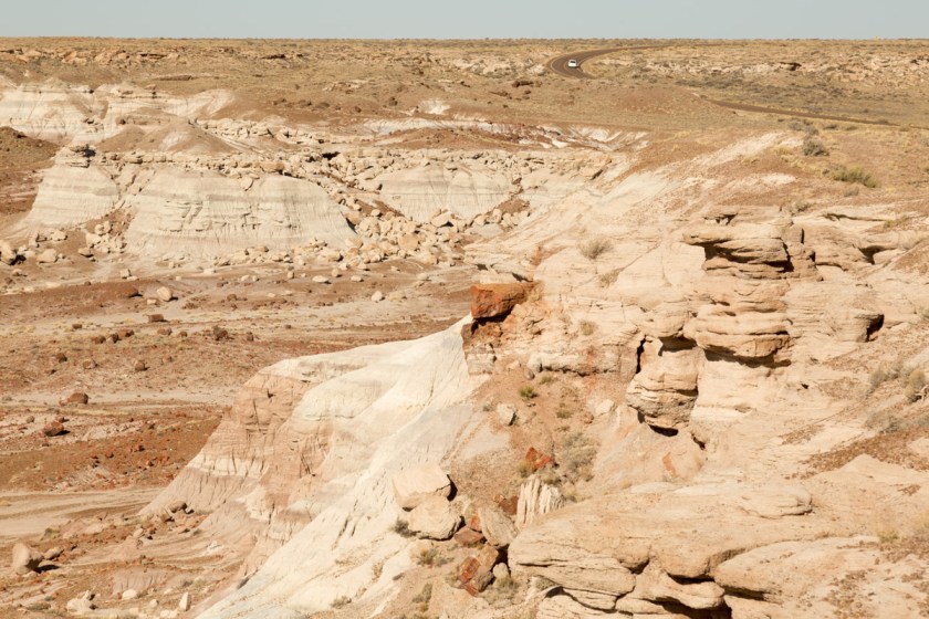 Petrified Forest NP-6161