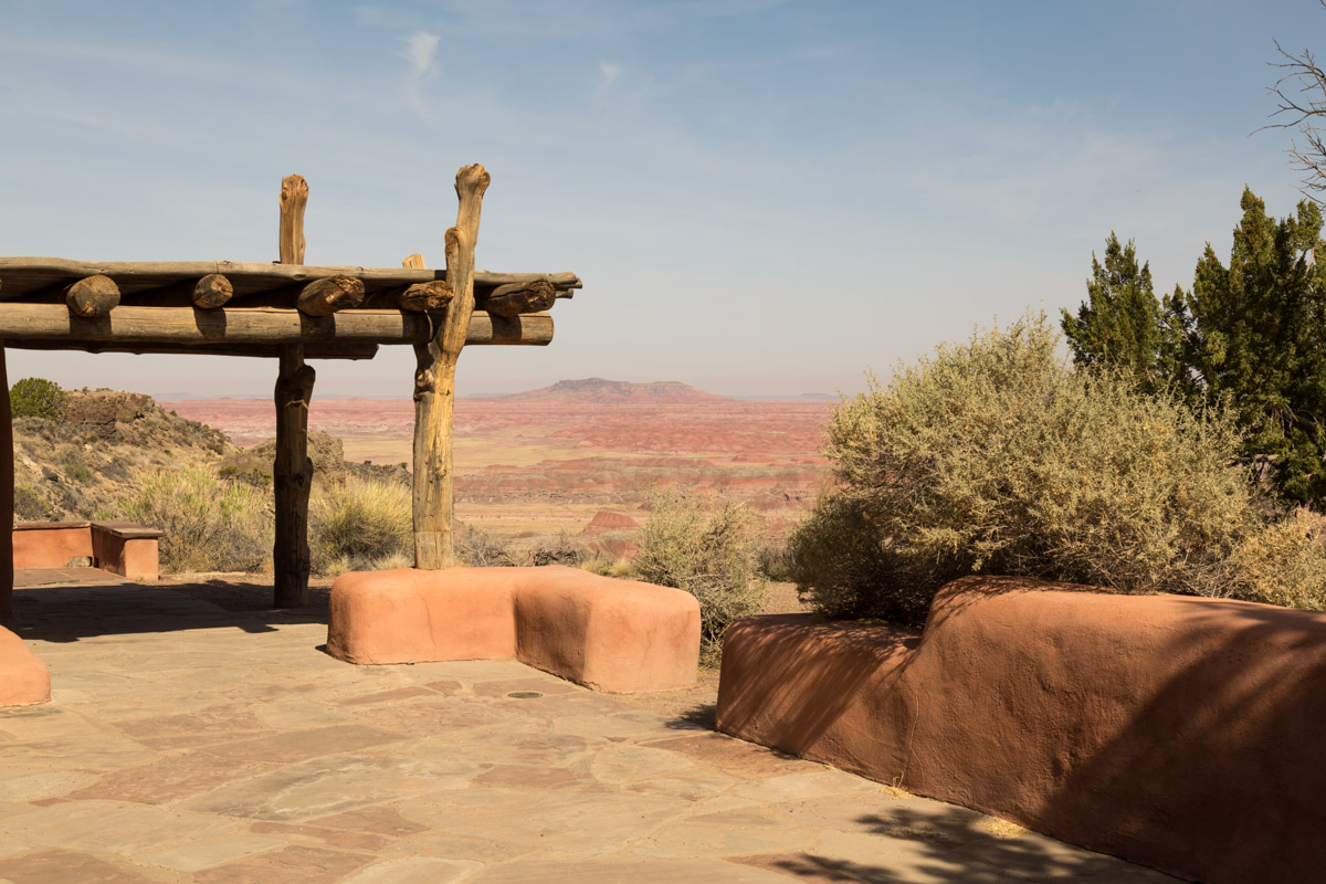 Petrified Forest NP-6175