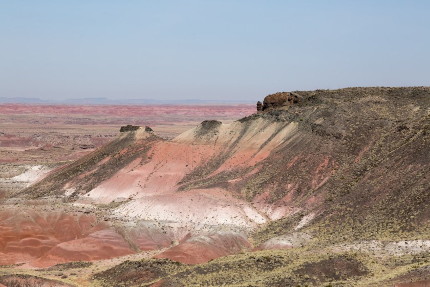 Petrified Forest NP-6197