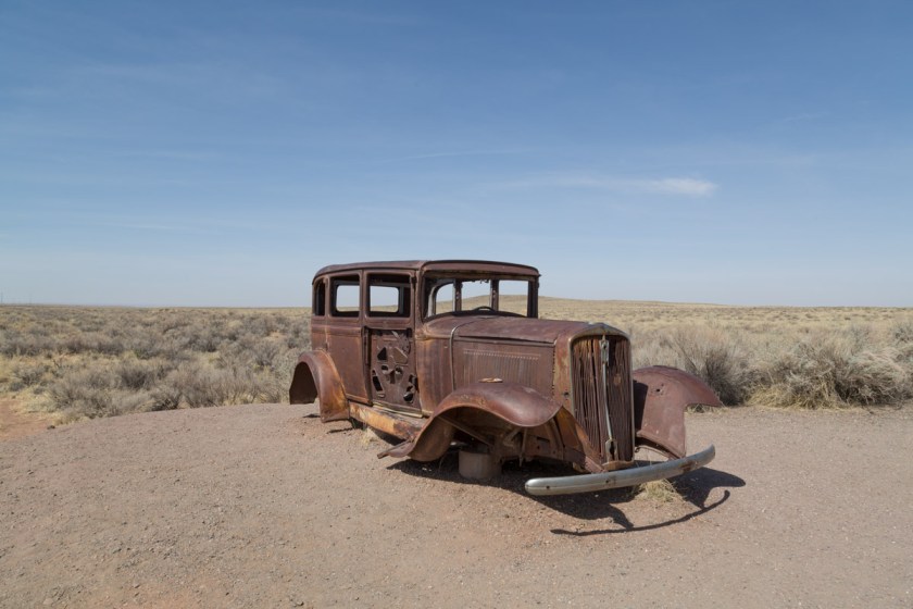 Petrified Forest NP-6199