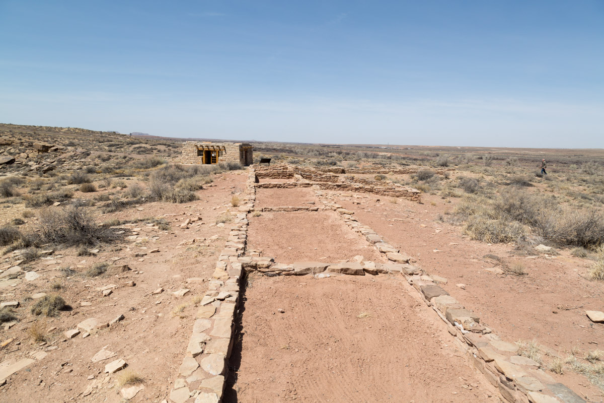 Petrified Forest NP-6208