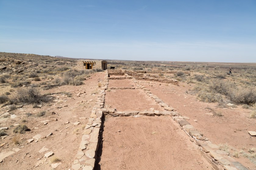 Petrified Forest NP-6208