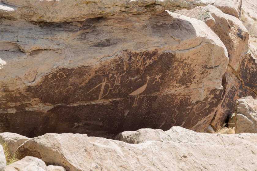 Petrified Forest NP-6212