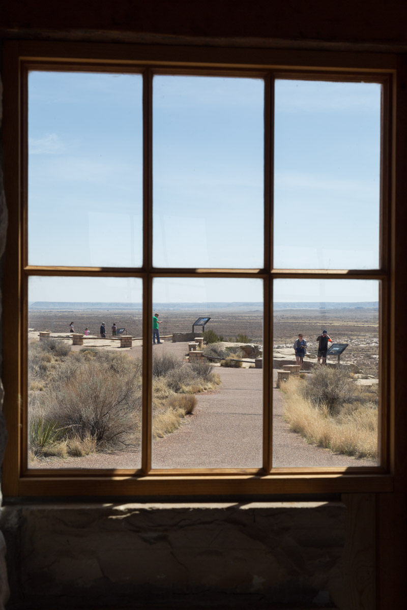 Petrified Forest NP-6217