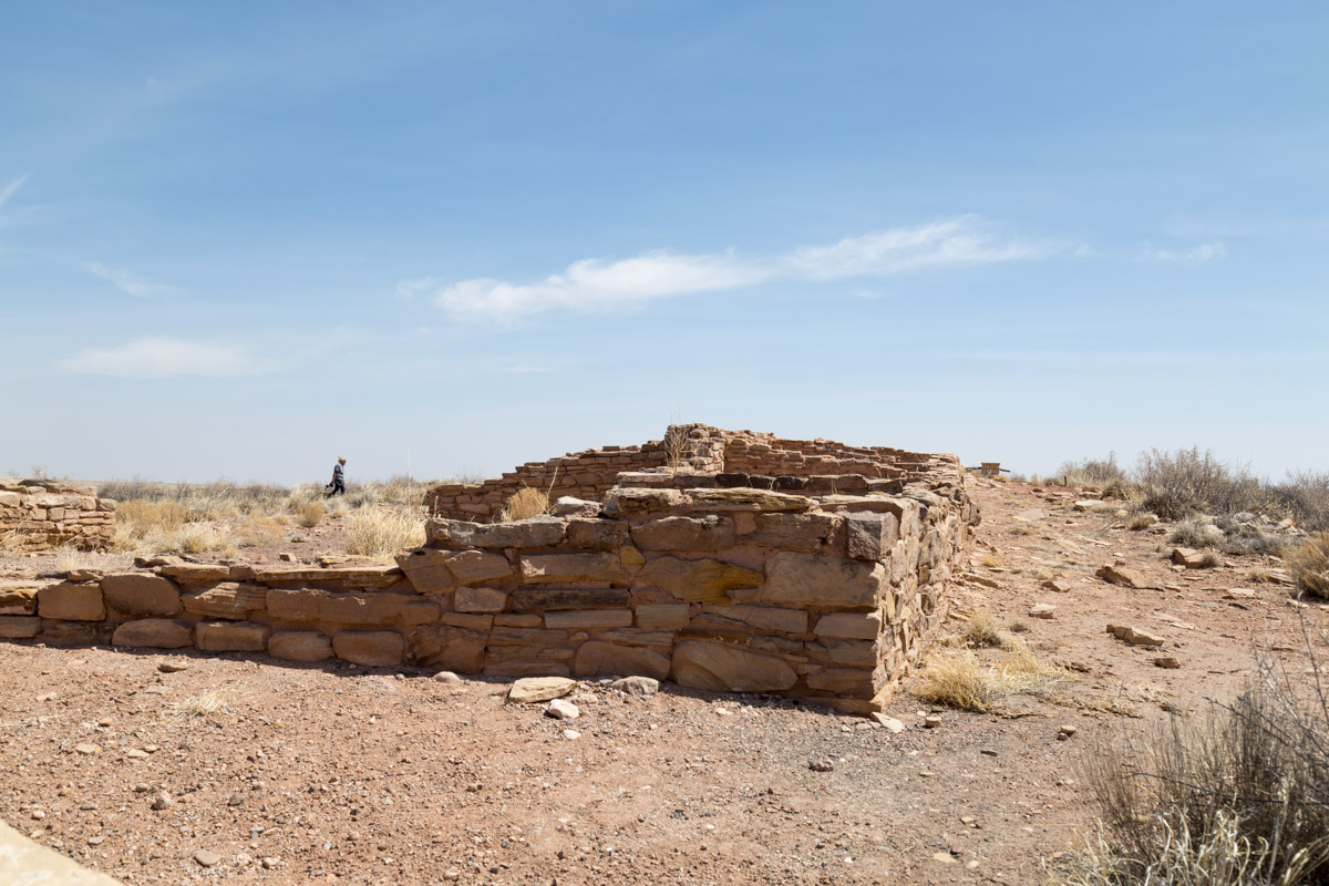 Petrified Forest NP-6221