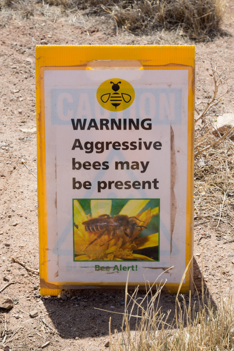 Petrified Forest NP-6222