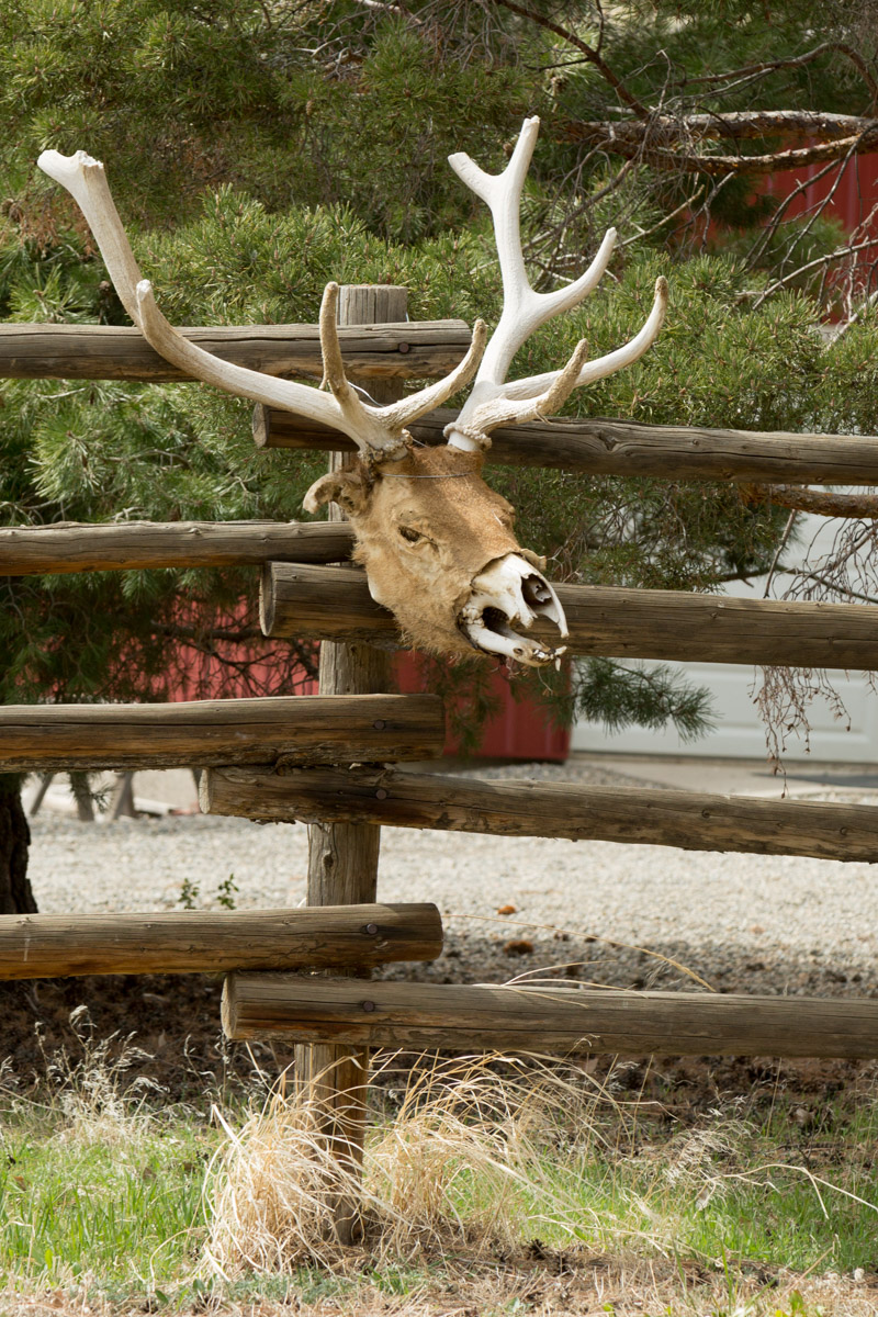 Paradise Valley-6641