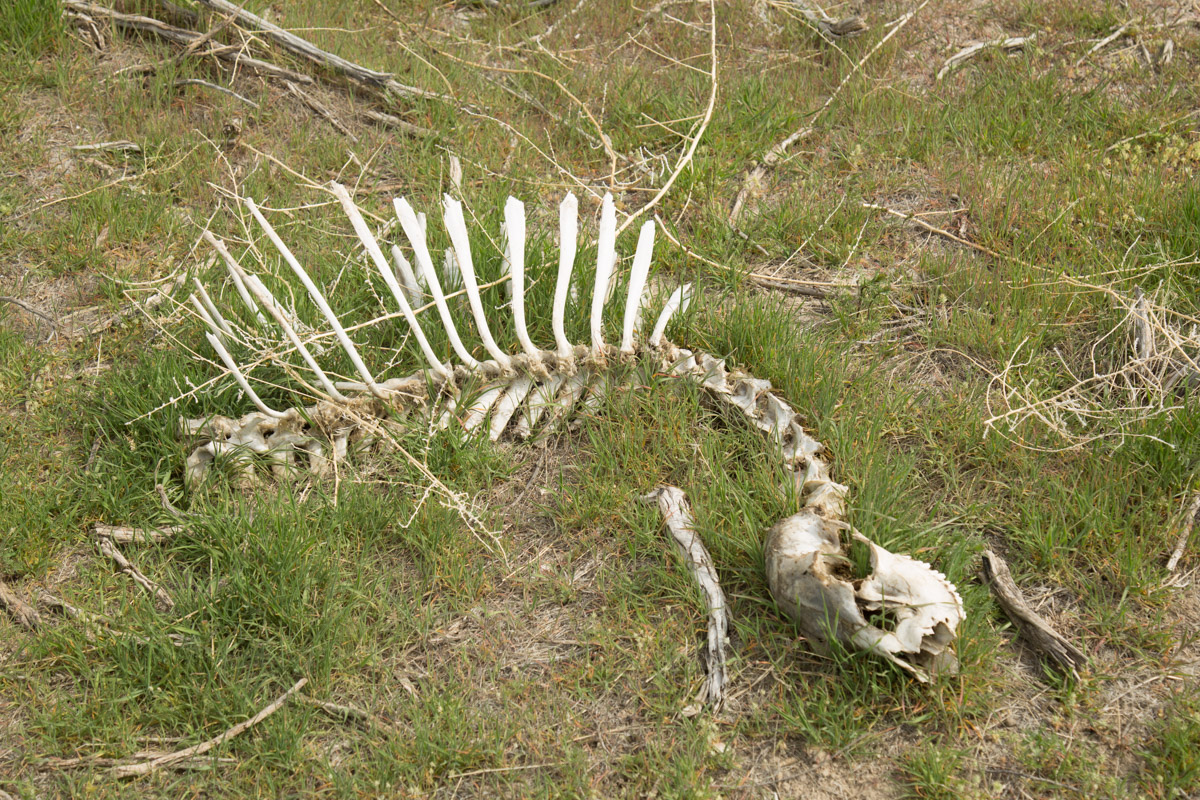 Paradise Valley-6726