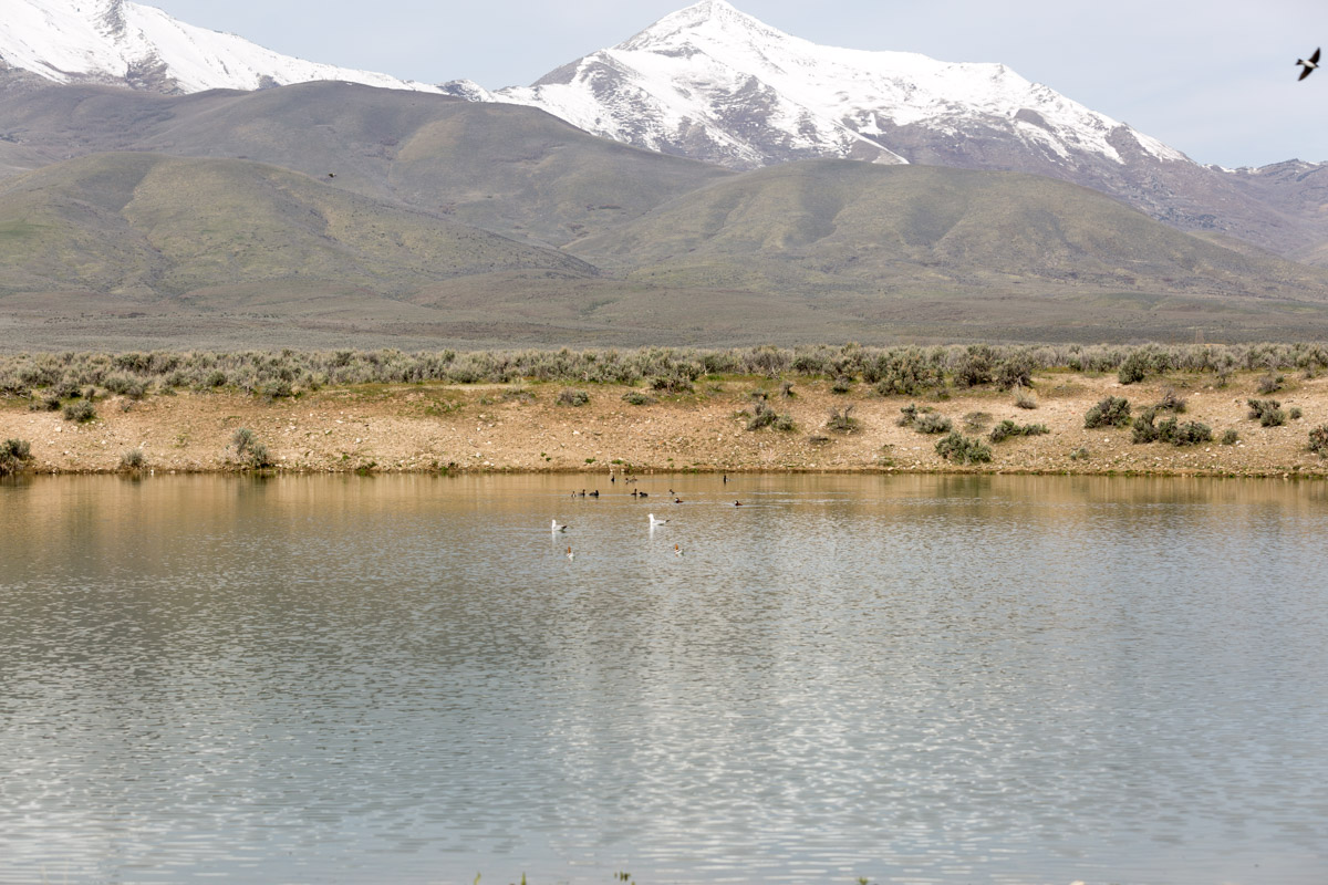 Paradise Valley-6739