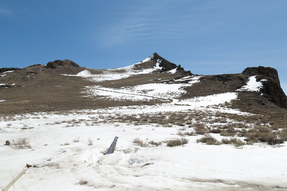 Paradise Valley-6764