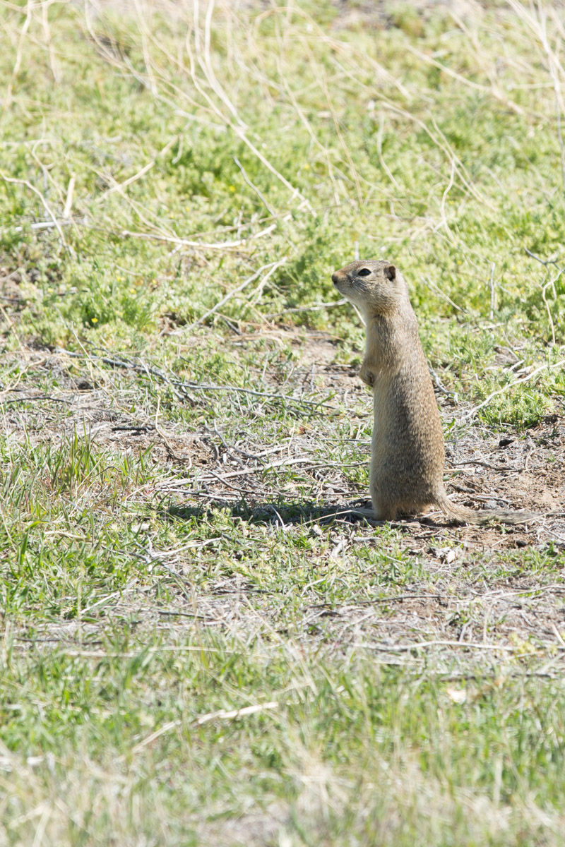 Paradise Valley-6786