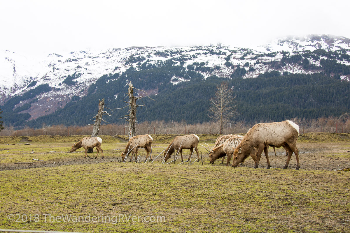 Drive From Anchorage-7286