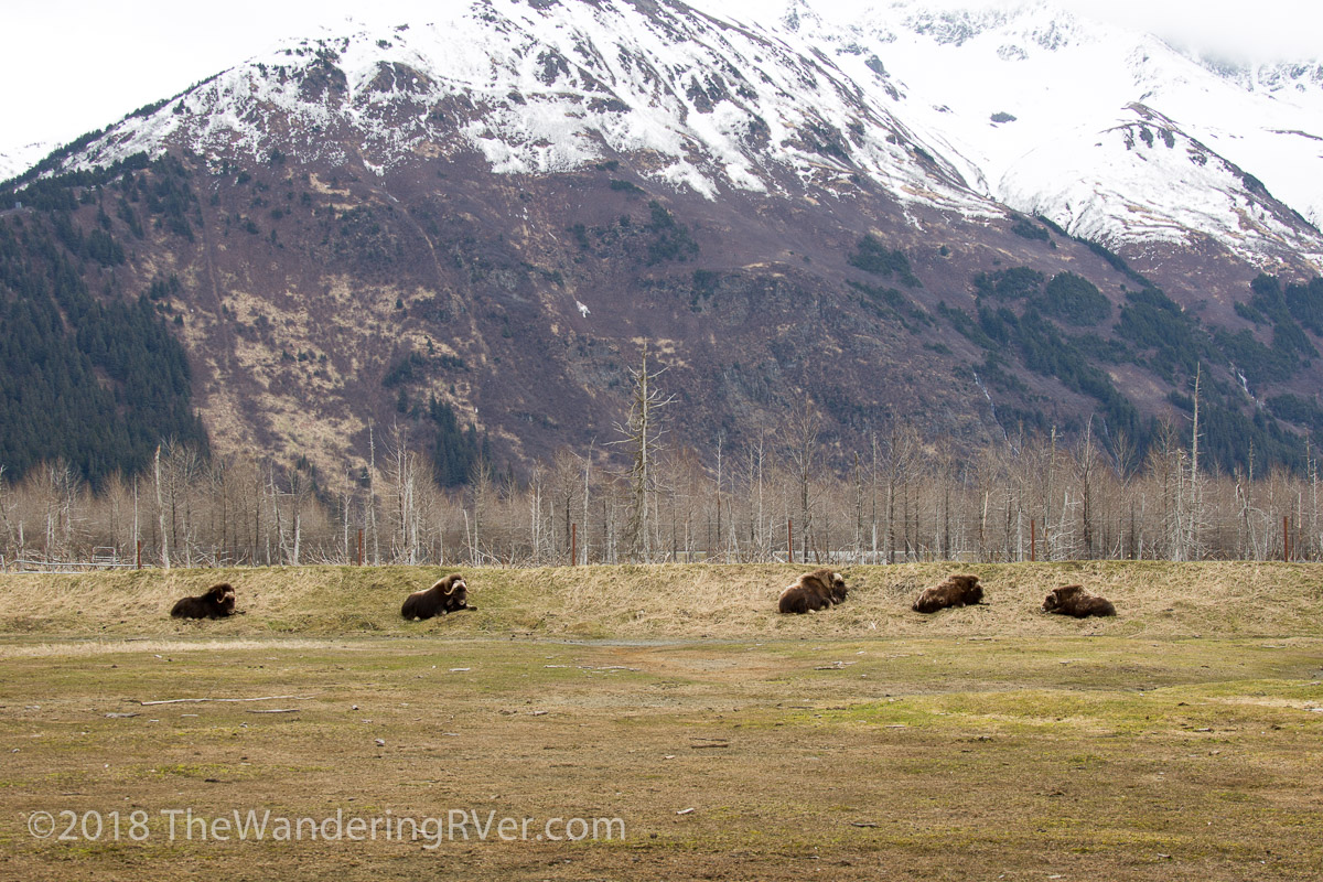 Drive From Anchorage-7293