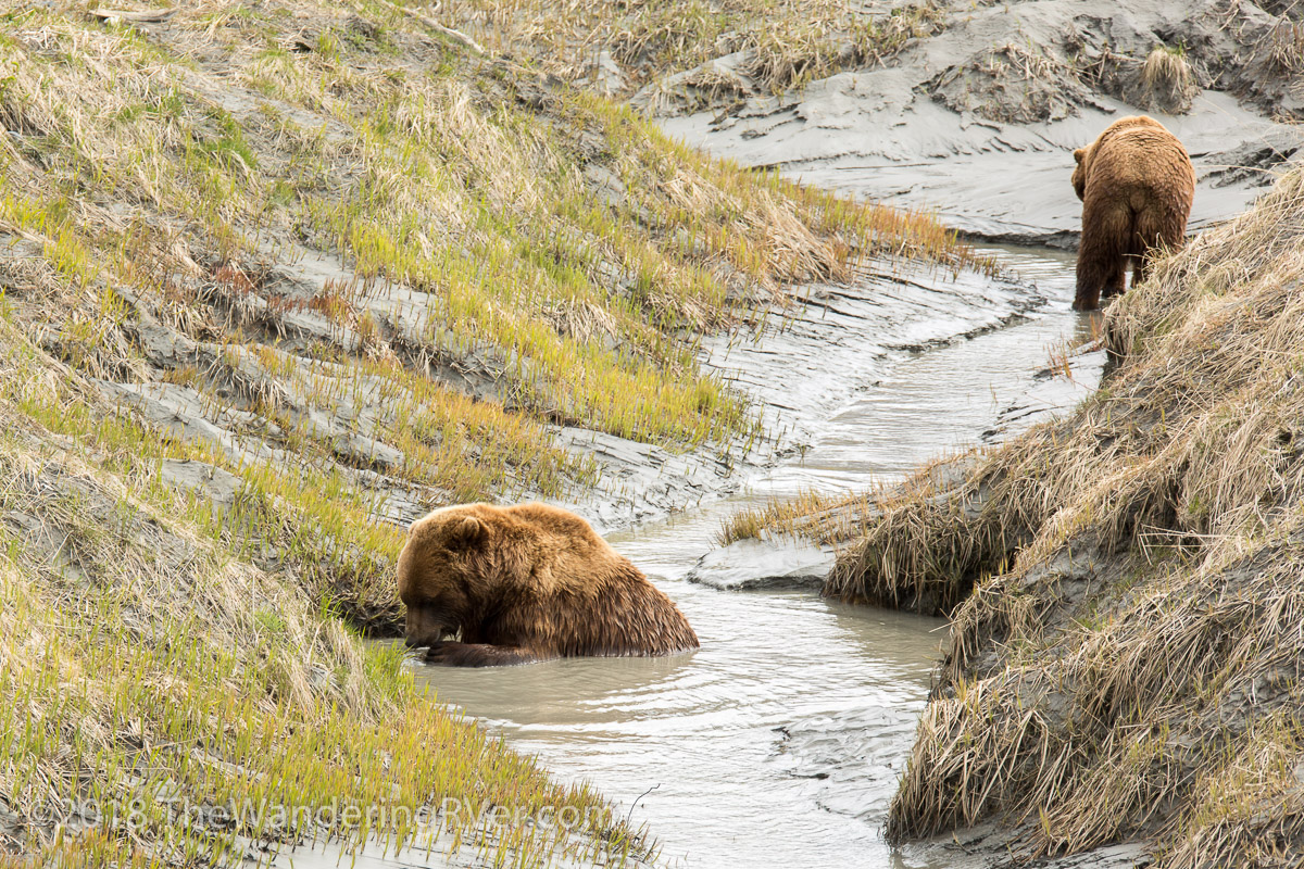 Drive From Anchorage-7297