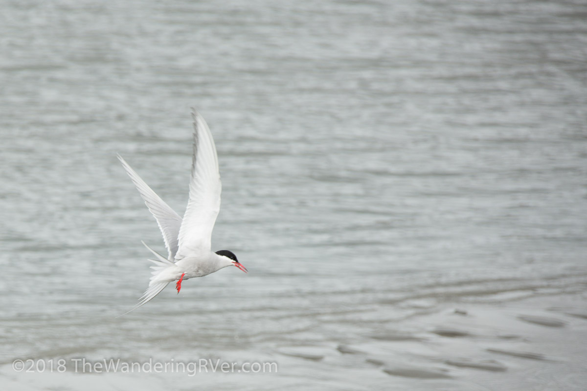 Drive From Anchorage-7315